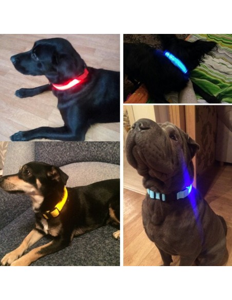 Collier LED Lumineux
